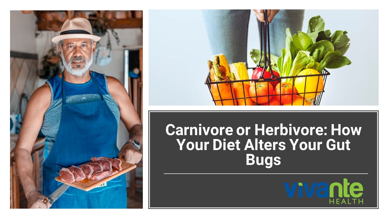 Carnivore or Herbivore: How Your Diet Alters Your Gut Bugs