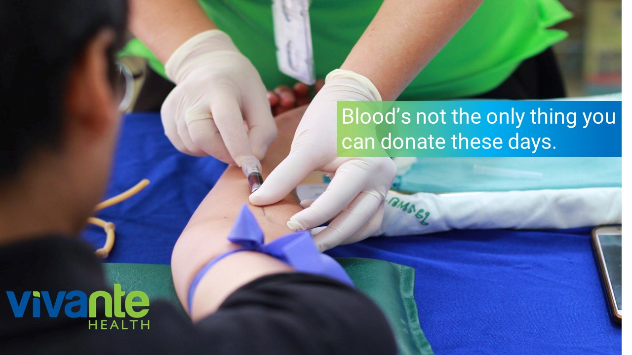 blood donation gloved hands drawing blood with needle from donor's arm