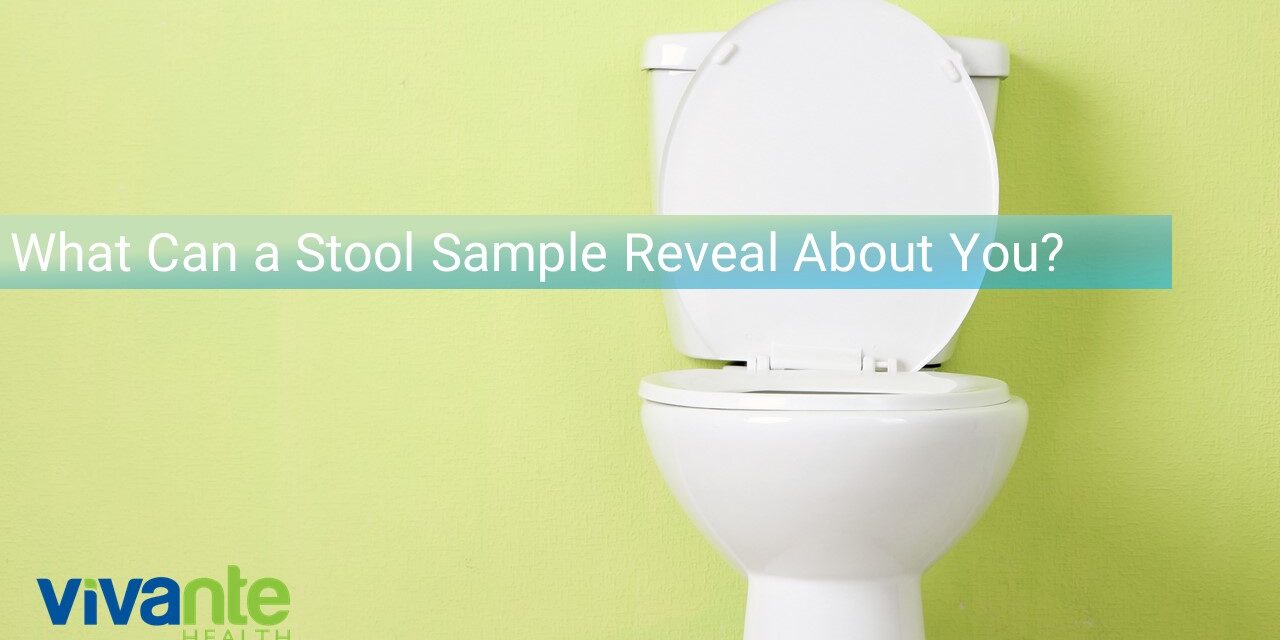 what-can-a-stool-sample-reveal-about-you-vivante-health